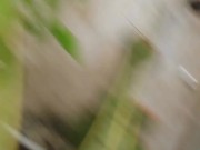 COGIENDOLE LA FRUTA AL VECINO / SALINASS03