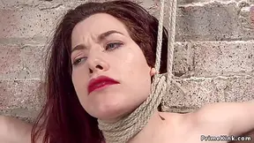 Hairy Hogtied Slut Tormented