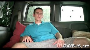 Wild knob riding inside a car