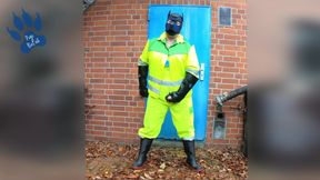 hiviz workie pup pawing off outdoors