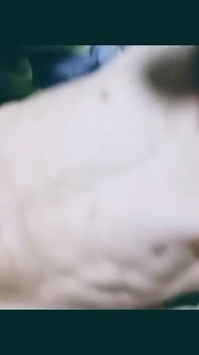 Nice Anal