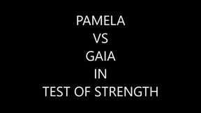 PAMELA VS GAIA IN TEST OF STRENGTH CHALLENGE