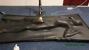 Milked by controlled vibrator in vacbed
