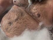 Osito Gordito En La Tina