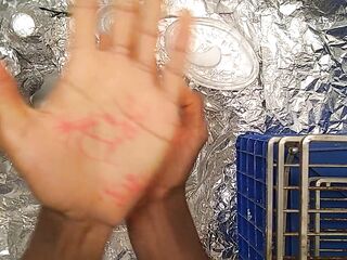 Cleans Hands Free of and .