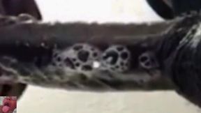 Best CIM blowjob ever