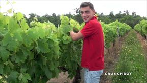nick fucked in exhib wineyard by straight worker