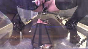 Human Toilet Fetish Fantasy - Mistress Pees Into Slaves Mouth, Compilation