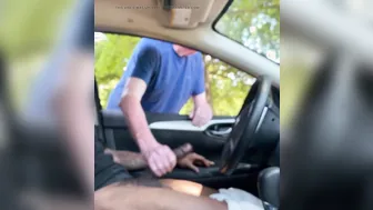 Older bear gives helping hand to BBC in car