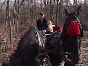 Horny couple is fucking in the carriages in front of their driver