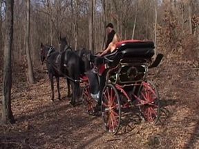 Horny couple is fucking in the carriages in front of their driver