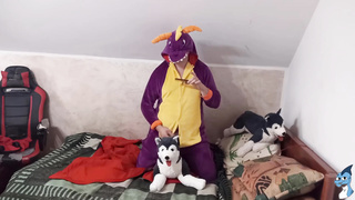Hauge mutt Fun#7