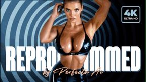 Reprogrammed by PERFECTA AI