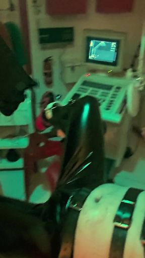 Playing Puppies the Second Examination