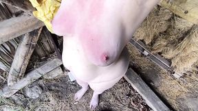 Naked in the stable
