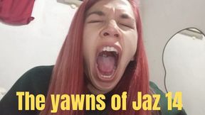 The yawns of Jaz 14