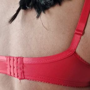 D Cup Red Lace Big Bra