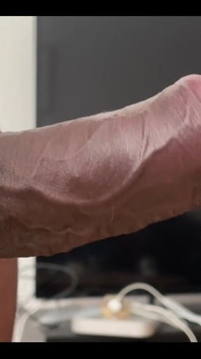 Stare as Long as You Want. You Still Can’t Take It