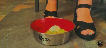 Mealtime for the dog - L'heure du repas pour le toutou