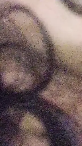 My Girlfriend Body Massage Anal Sex with Hot Doggy Style