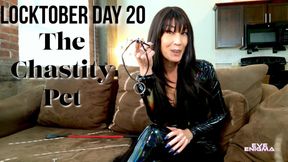 Locktober Day 20 The Chastity Pet