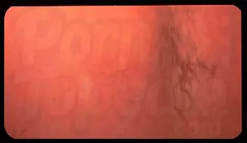 Tattooed Mature Stud Orgasm Fan favorite