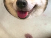 小奶狗帅哥视频飞机（1）