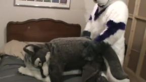 Fursuit sex 2