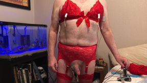 Electric nipple clamps hurt so good - handsfree cumshot