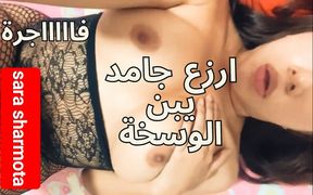 Arab Egypt Muslim Sharmota Amal Nik Kosomi Ya 3ars Arabic Sex