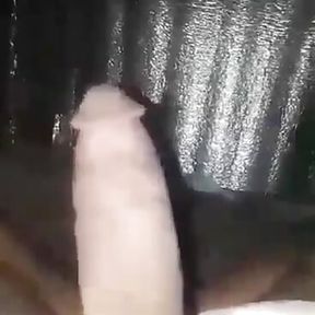 Who Want My Dick