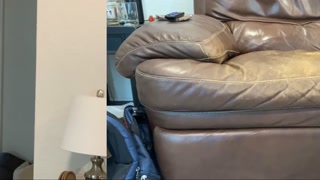 No Other Option but to Use my Diapers!