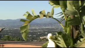 Two naughty lesbians playing with each other outdoor