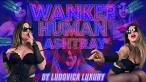 LUDOVICA LUXURY -WANKER HUMAN ASHTRAY