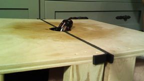 Bye Bye Dick and Balls