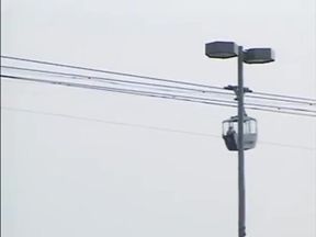 Bonking Berlin Bastards