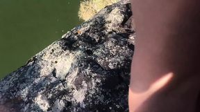 Wild sex on a riverbank ledge
