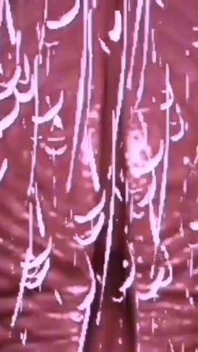 Must-share moment from "The pussy and the dick"