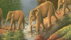 Sexy cheerleader gets her pussy licked and drilled by black guy