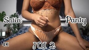 Sexy Satin Panty Jerk Off Instructions 2- Hairy Ebony JOI 4K