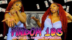 FINDOM 103 (Expert Level Financial Domination)