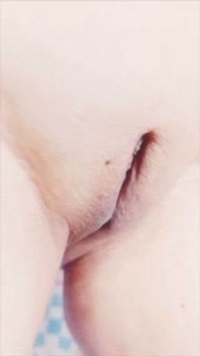 My front bottom