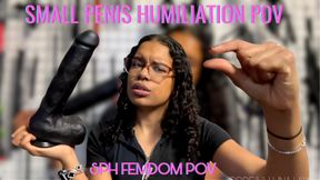 Small penis humiliation - Size comparison SPH POV