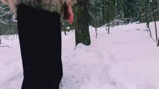 в зимнем лесу