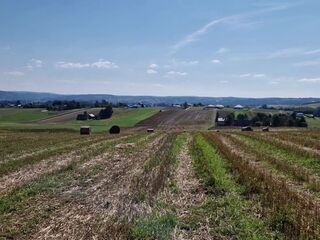 Ja po prostu lubię sex