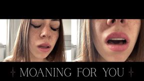 Moaning until I make you cum