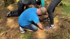 Trampling in the forest