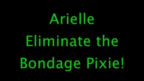 Arielle: Eliminate the Bondage Pixie!