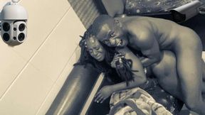 1900 Hold Color Sex Videos