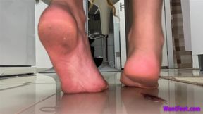 Barefoot Cockroach Crush - Stomping - HD MP4